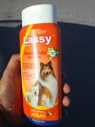 shampoo Lassy